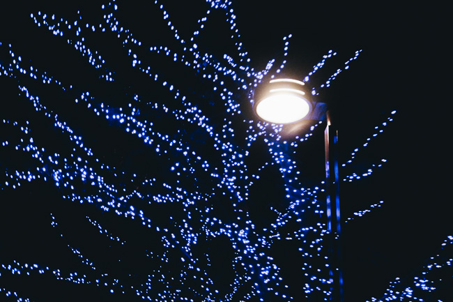 Blue Cave Illumination Shibuya 2016-17 - lights on - Unseen Jap