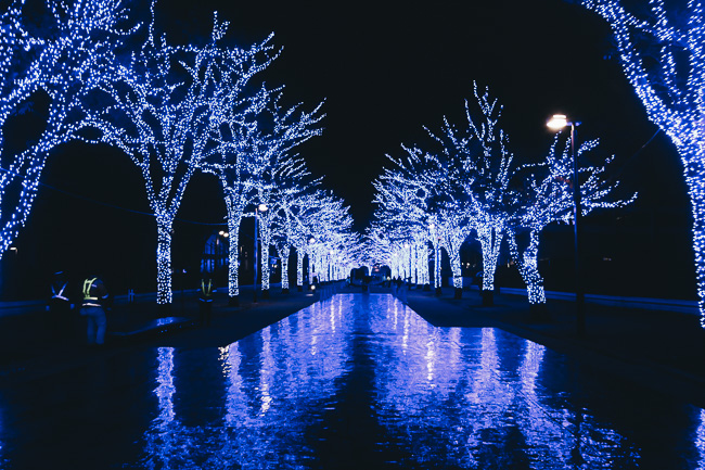 Blue Cave Illumination Shibuya 2016-17 - lights reflection - Un