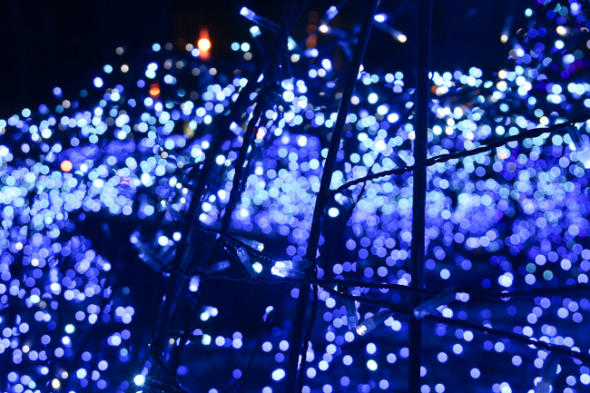 caretta-shiodome-illumination-2016-beautiful-lights-unseen-japan