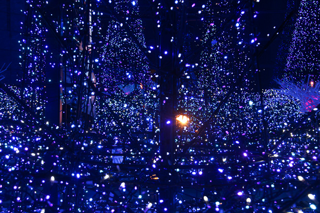 caretta-shiodome-illumination-2016-glittering-lights-unseen-japan